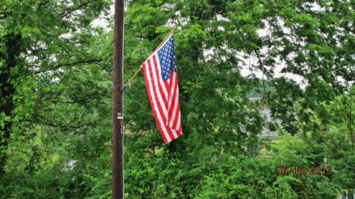 Flag on a Phone Pole